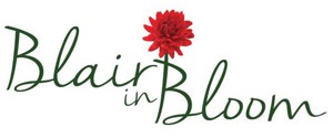 Blair in Bloom Weekly Catch Up