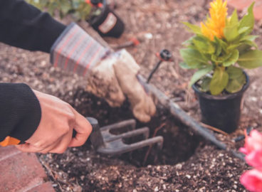 Gardening